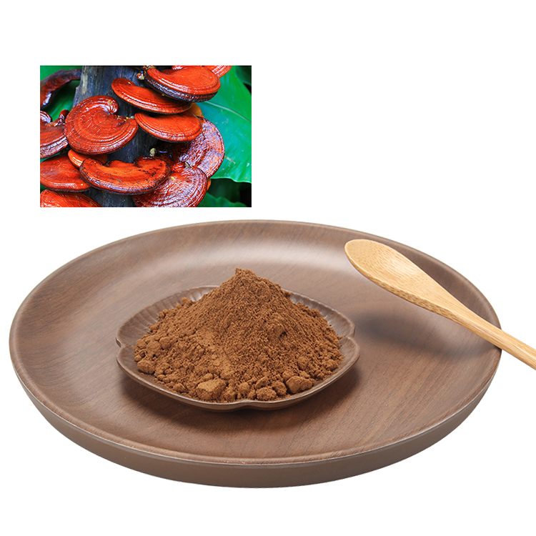 How Long Does It Take for Reishi Extract Powder to Work?